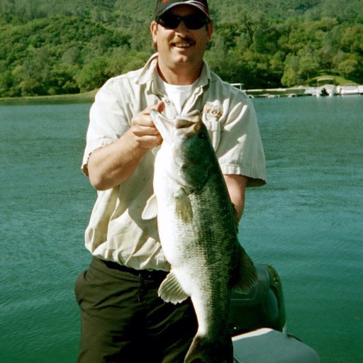 Michael Holberg